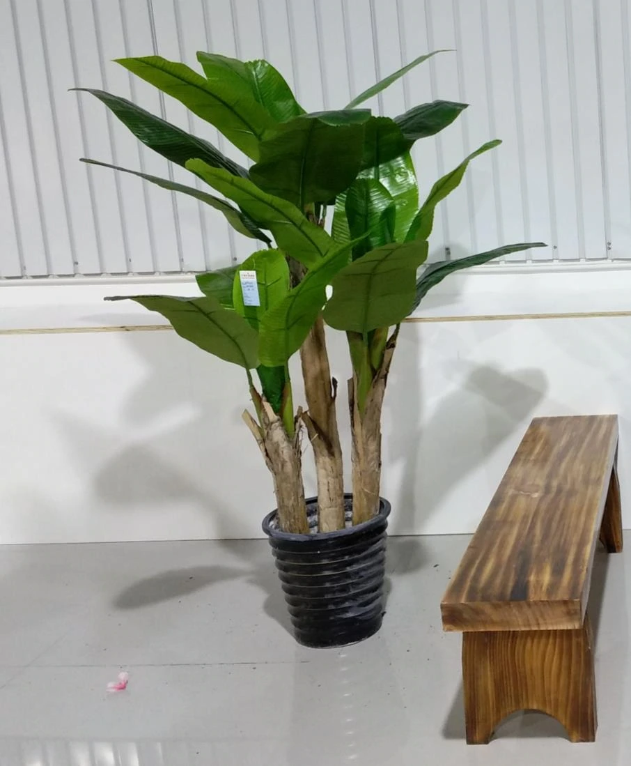 Banana Tree x 3 160 cm 4039